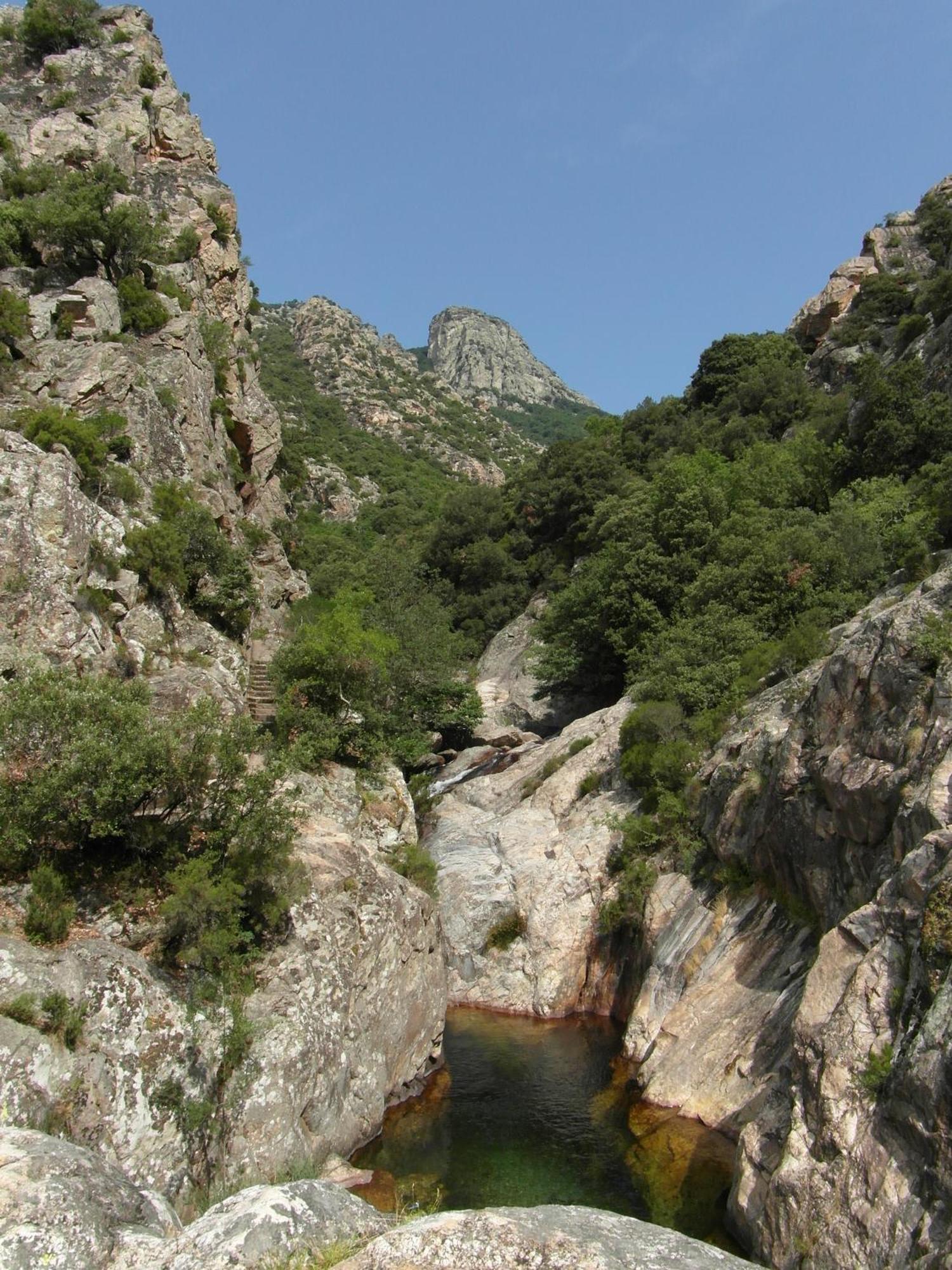 Chateau De Colombieres Sur Orb Δωμάτιο φωτογραφία