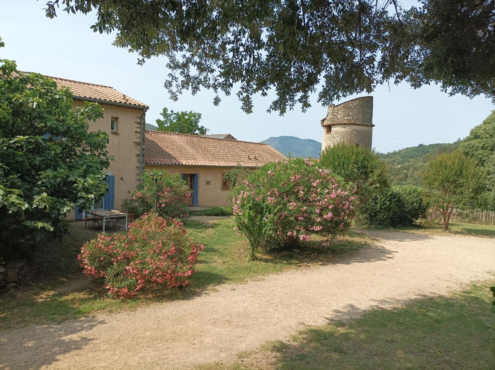 Chateau De Colombieres Sur Orb Εξωτερικό φωτογραφία