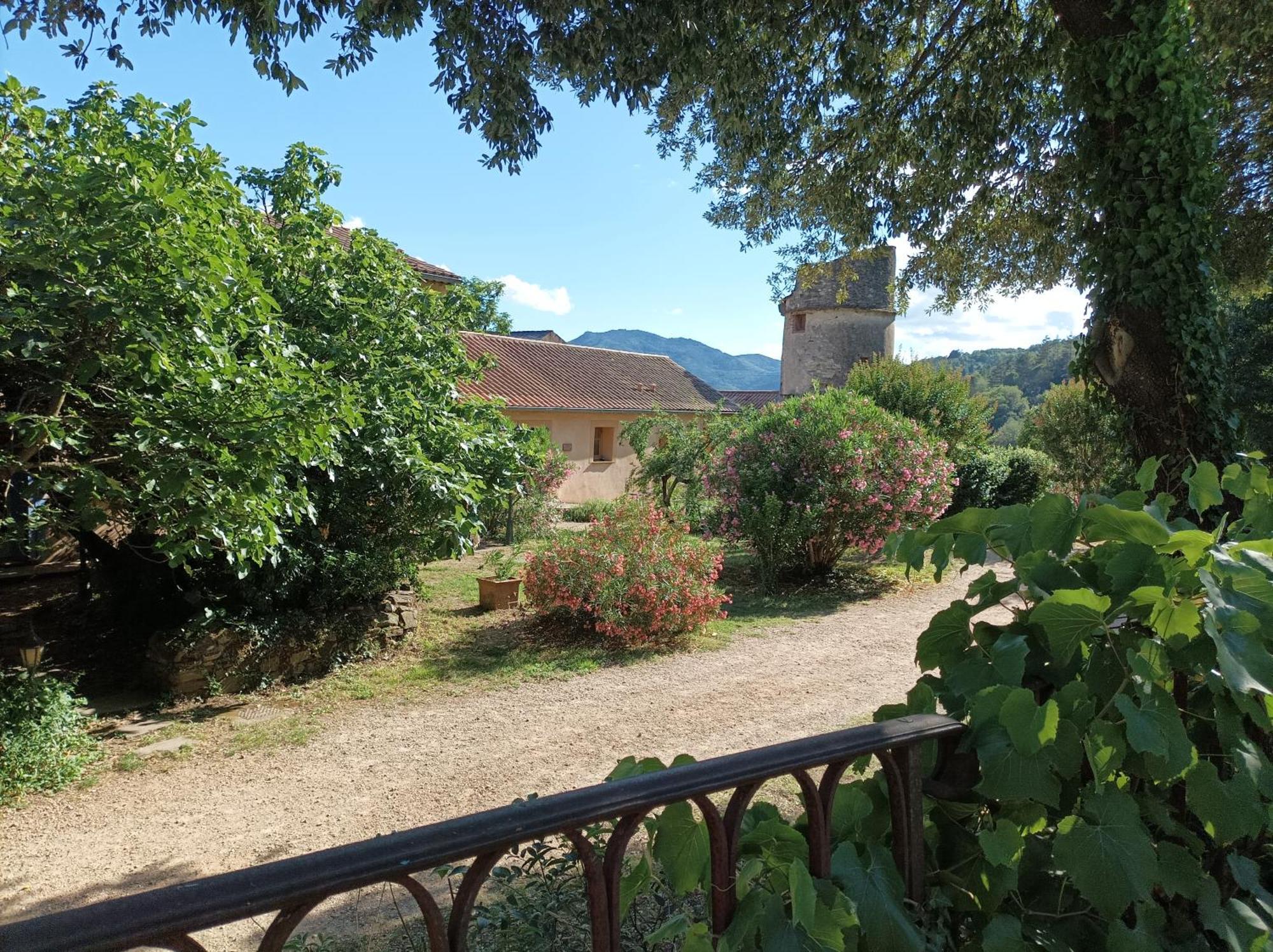 Chateau De Colombieres Sur Orb Εξωτερικό φωτογραφία