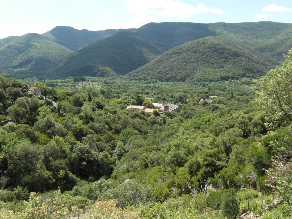 Chateau De Colombieres Sur Orb Εξωτερικό φωτογραφία